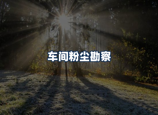 专业团队办公环境